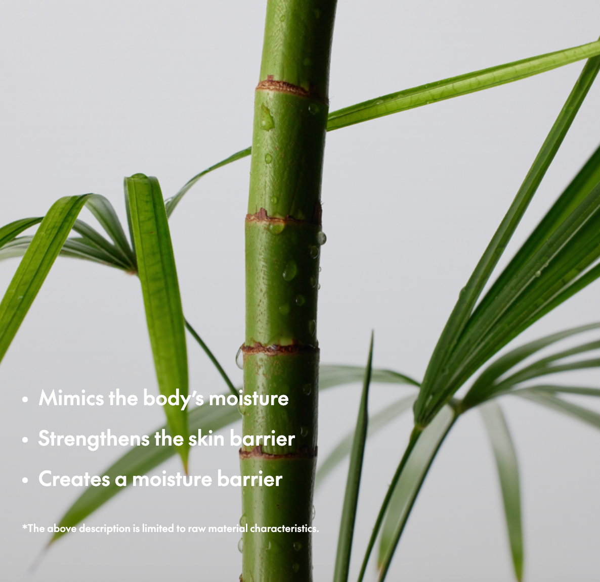 Mighty Bamboo Panthenol Cream 100ml