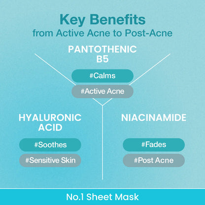 Numbuzin Pantothenic B5 + Hyaluronic Acid Active Clear Mask [26ml]