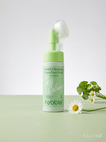 Febble Gentle Cleansing Mousse Foam Face Wash 160g